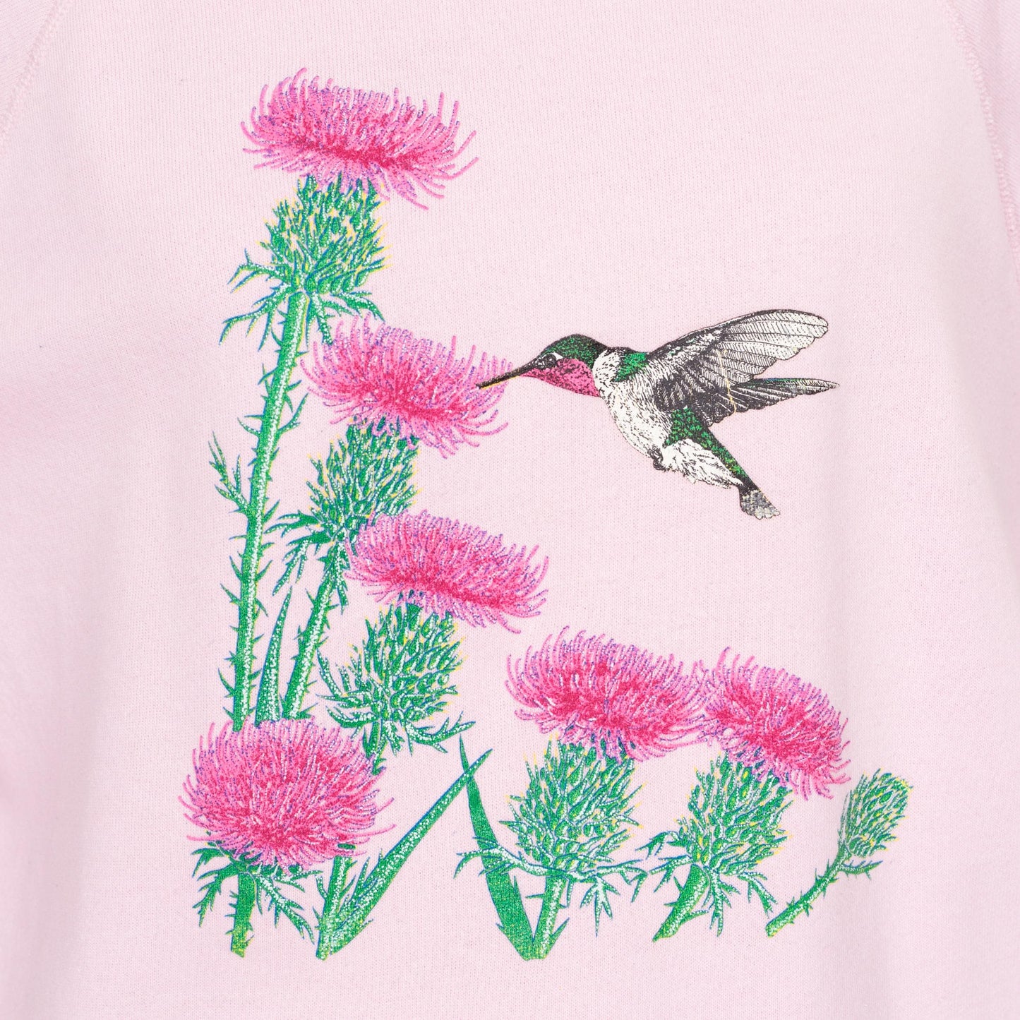 Large 90s Hummingbird & Thistle Flower Collared Sweatshirt | Vintage Cute Animal Graphic Pink Raglan Sleeve Grandma Pullover