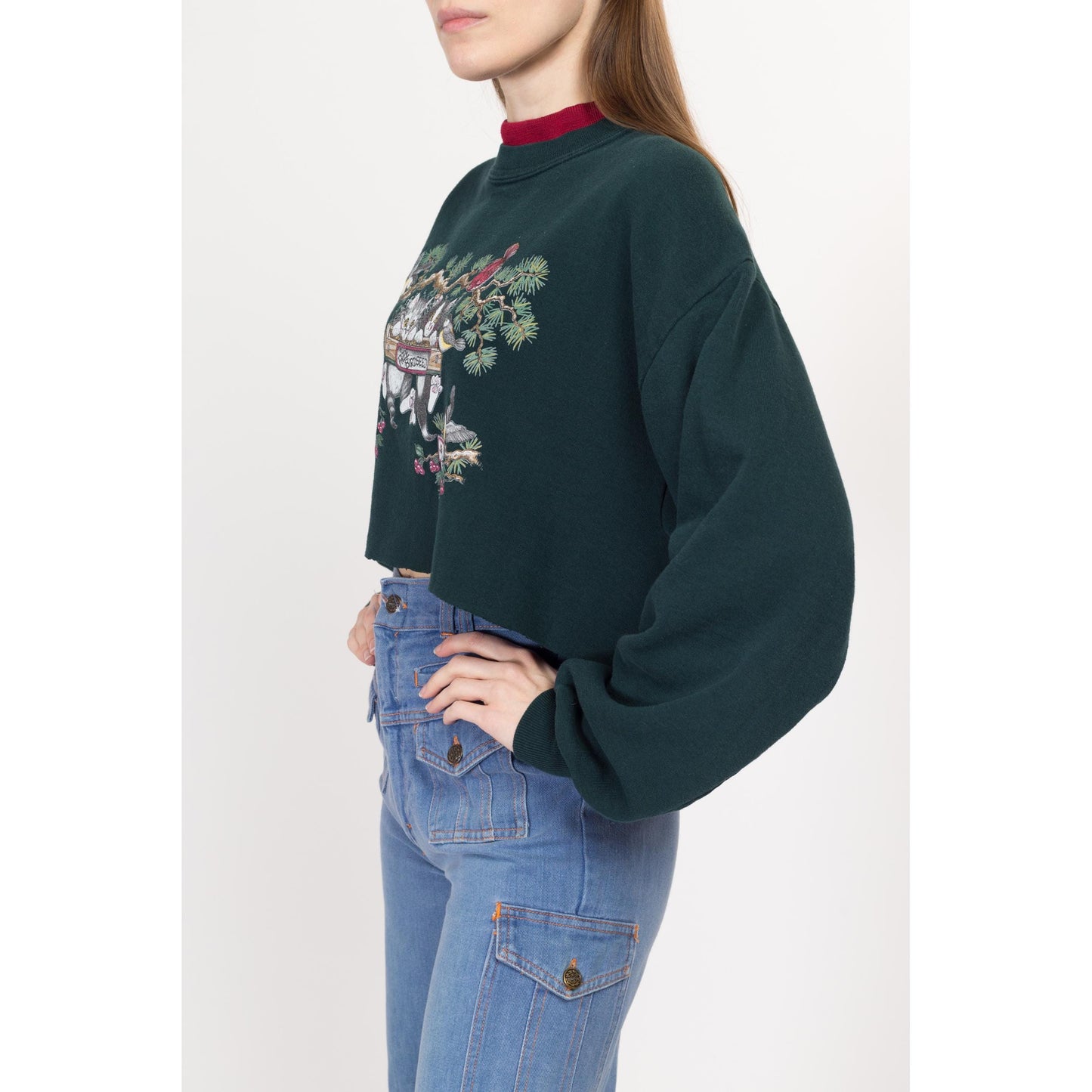 Large 80s Kittens "Free Birdseed" Cropped Sweatshirt | Vintage Green Cute Animal Pullover Crop Top