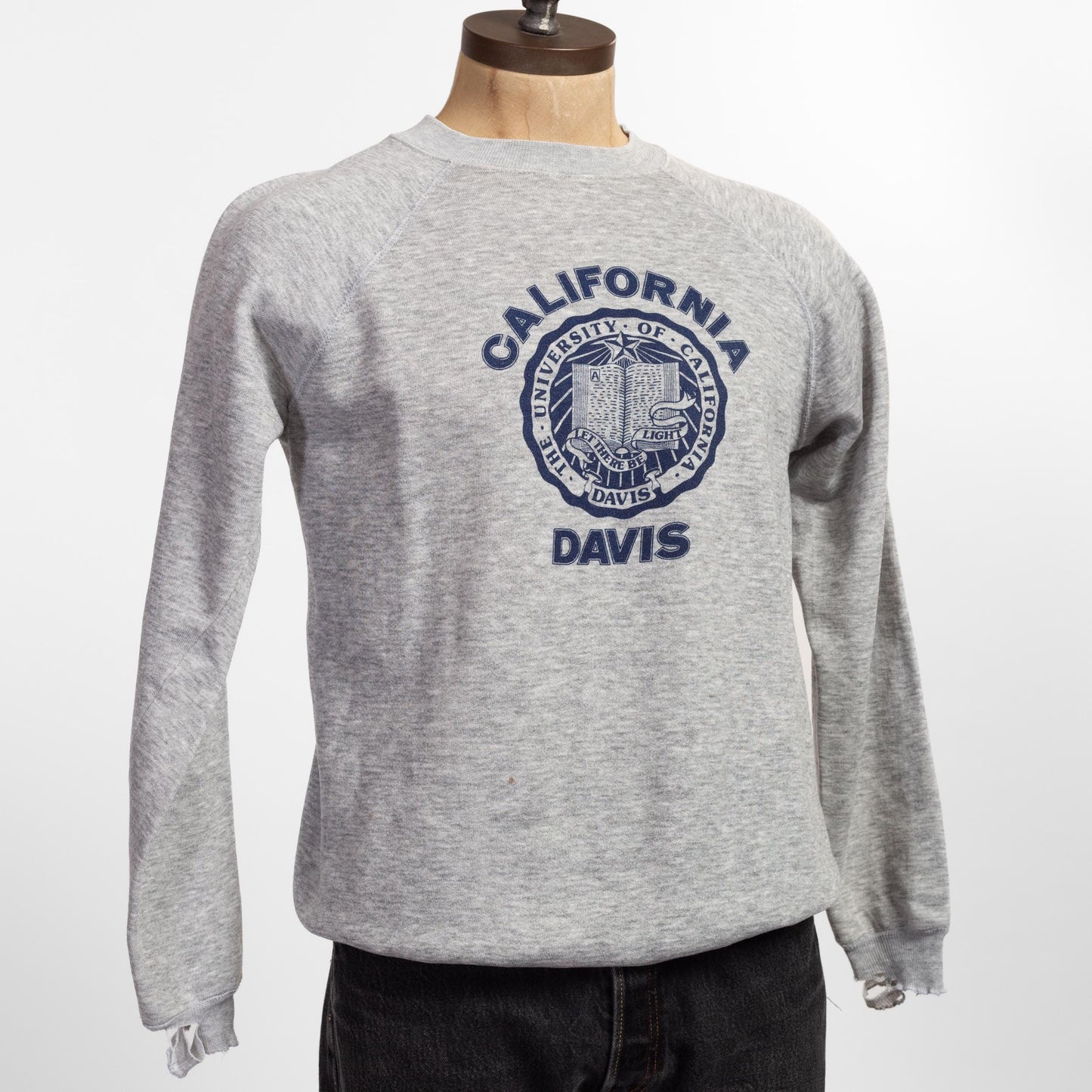 Large 80s California UC Davis Sweatshirt | Vintage Heather Grey Raglan Sleeve Collegiate Graphic Crewneck Sweater