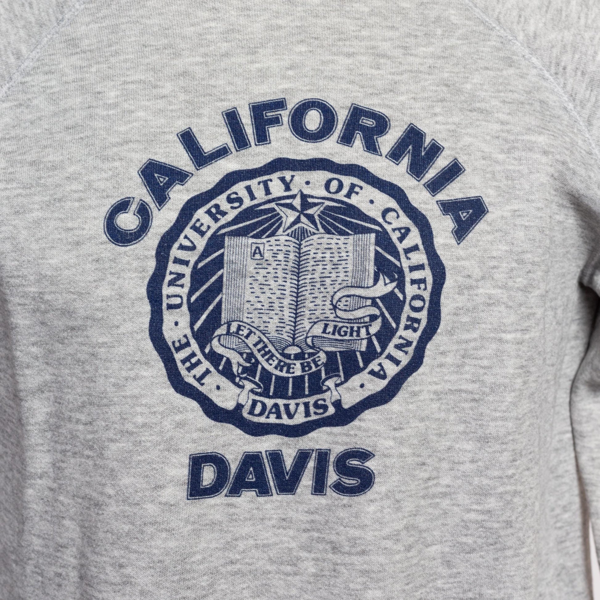 Large 80s California UC Davis Sweatshirt | Vintage Heather Grey Raglan Sleeve Collegiate Graphic Crewneck Sweater