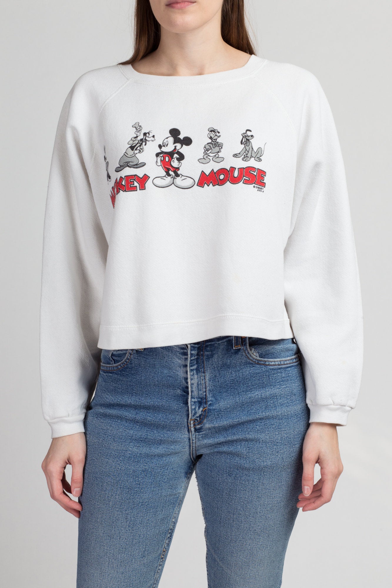 Mickey mouse hot sale cropped hoodie