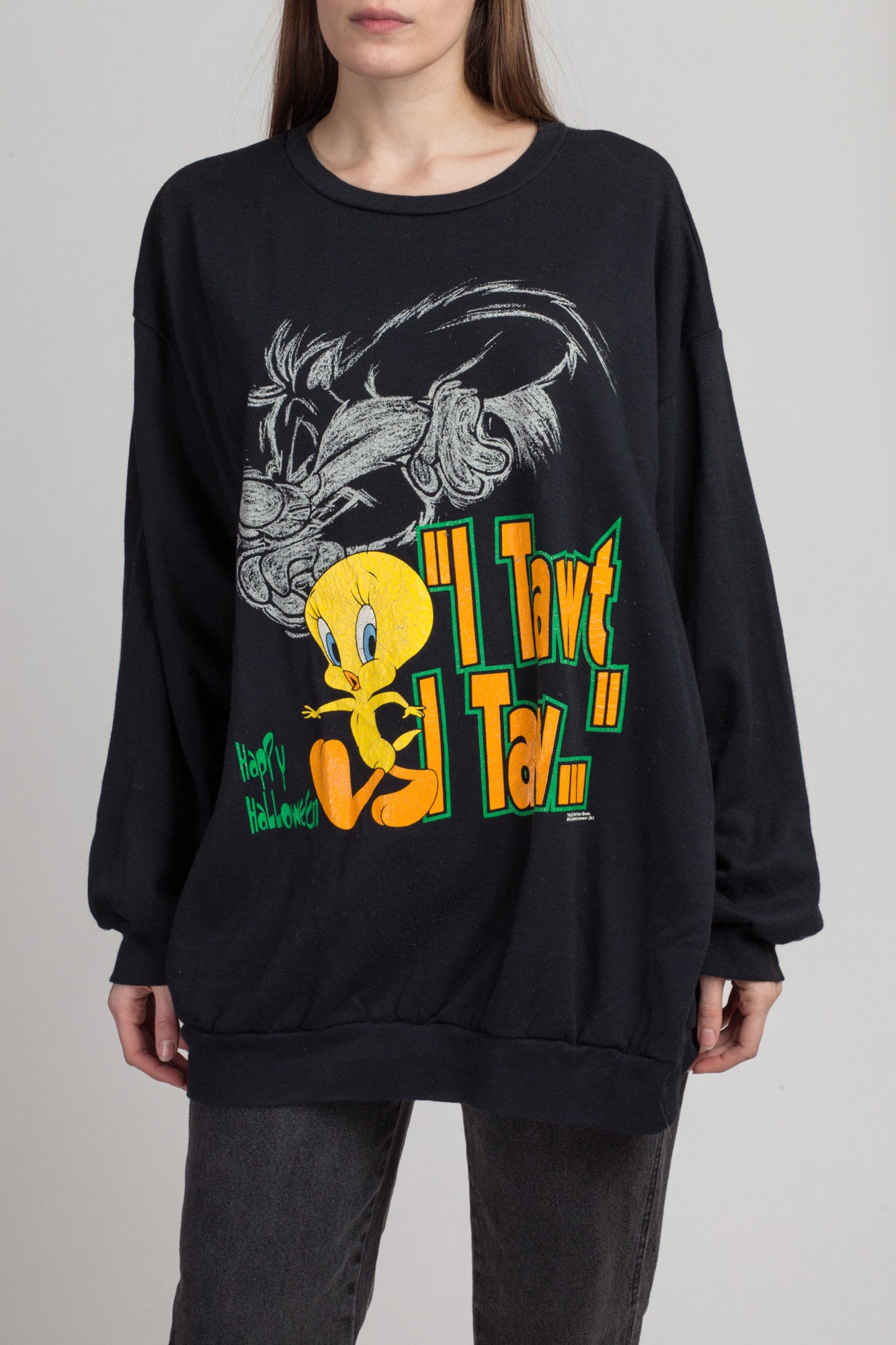 Tweety store sylvester sweatshirt