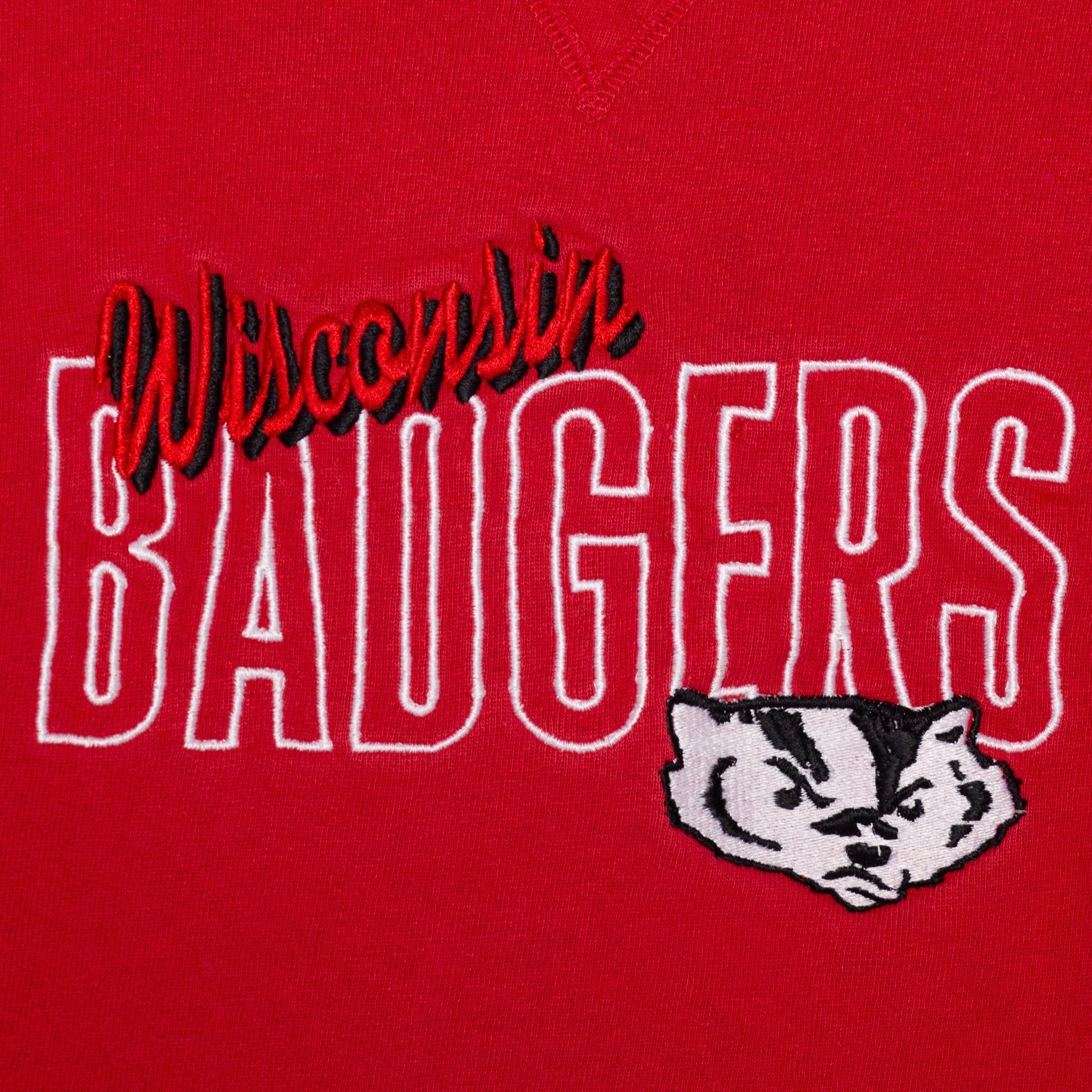 90s Wisconsin Badgers Champion Sweatshirt - Men's Large